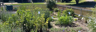 hero bibelgarten